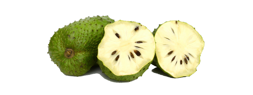 240612-WEBSITE-SOURSOP-44.png